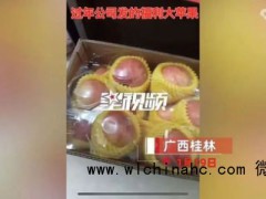 女子晒公司年终发一箱苹果15个全坏 凑齐一箱不容易
