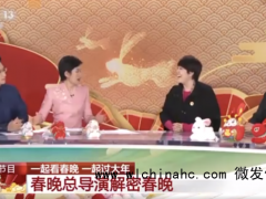 总导演:春晚因为沈腾启动了预案