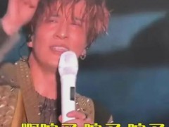 演唱会爆意外，网友怒斥！警方出手了！网友们纷纷评论严查严肃处理！