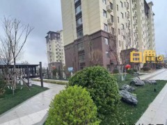 当事人回应在淄博吃完烧烤直接定居：老家已有很多人来此定居