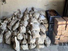 天降横财！美国夫妇发现大量旧铜币 结果银行拒绝兑换