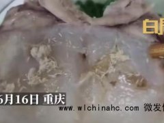 女子老鸭汤中吃出异物:满密密麻麻疑似苍蝇卵