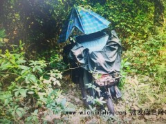 海南一破旧三轮车上惊现白骨 海南白骨男尸身份查明