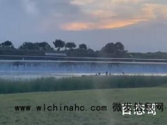 成都一草坪惊现上百条“蚊卷风” 这不是一拳超人第一集的剧情么?