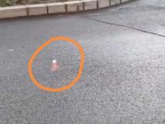 女子发现地上冒火花报警,网友:走近科学?