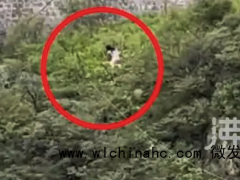 女子翻越护栏大哭冲下山崖 景区回应:情侣吵架,男朋友把她救了上来了人没事