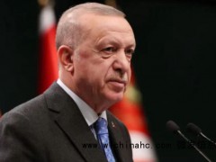 埃尔多安:美国出售F-16战机 土就准瑞典“入约”