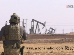 叙利亚拒绝接受禁止化学武器组织涉叙报告