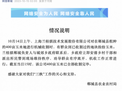 乡政府否认玉米地遭疯抢 当地回应：民警到现场维持秩序，玉米已收割完毕