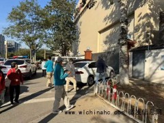 北京朝阳、海淀、通州多地出现猴子踪迹 “逛街”的俩“猴哥”哪来的？