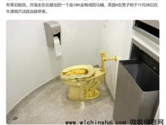 英男子被指控盗窃价值4300万元18K黄金马桶 4人将出庭受审