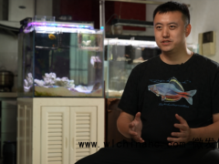 36岁工程师痴迷于海洋生物变“海王”走红