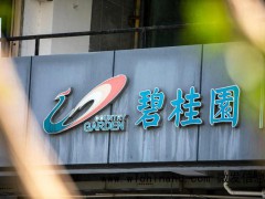 碧桂园杨惠妍：家族砸锅卖铁支持公司 明年交付量预计超过40万套