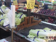 部分蔬菜地头价已跌破成本!今冬蔬菜为何跌出“白菜价”