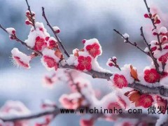 立春节气下大雪，对明年的收成有啥预兆？