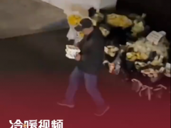 男子趁着夜色拿走多件用来悼念宗庆后的AD钙奶