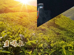 中医为什么不提倡多喝水?喝太多可能会对身体造成负担