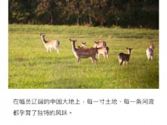 为什么古人吃鹿肉现代人却不吃？鹿肉真的能吃吗？