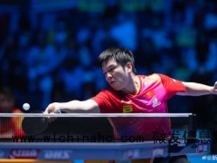樊振东晋级世界杯16强 力克黄镇廷夺小组头名