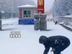 河北承德4月飞雪，塞罕坝温度零下五度