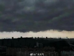 有人暴雨期间办婚礼 近半数亲友未到 极端天气下的特殊婚典