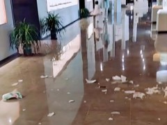 小孩在博物馆内打破标价119600陶瓷 谁该负责？