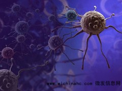 卵巢癌患者抗癌7年手记 希望与勇气的赞歌