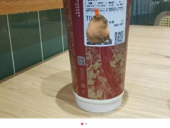 多人称喝了霸王茶姬新品心悸入院 茶多酚过敏惹祸？