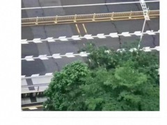 东莞鸿福大桥桥面开裂”系谣言:实为养护痕迹误认