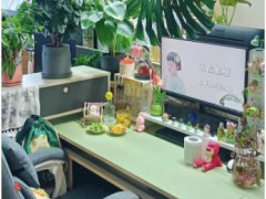 花上万元爆改工位值得吗？为何要打造个性化“职场小窝”