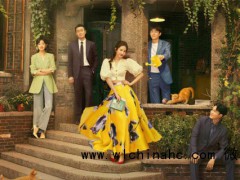 玫瑰的故事大结局 遗憾收场,角色命运引唏嘘