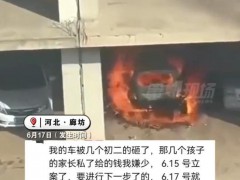 4名初中生砸车 立案2天车被点燃 网友呼吁严查真相