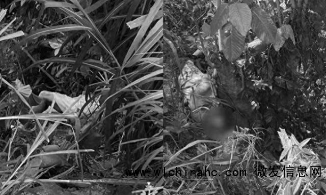 菲律宾贫富差距