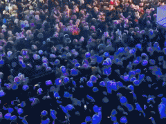 尔滨“超级冰滑梯”第一视角来了 冰雪魅力再升级[推荐]