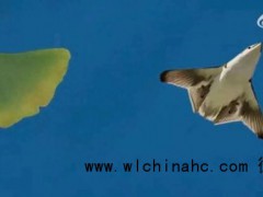 福建舰最新海试画面曝光 舰机结合试验成功[推荐]