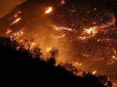 美国网红骑摩托冲进洛杉矶火海实拍 现实里的平民英雄[推荐]