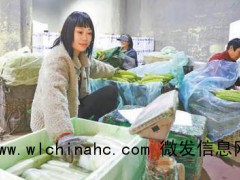 商品供应有保障 假日消费活力足 各地产销忙不停[推荐]