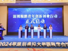 深圳再出招助力高成长企业 鲲鹏行动吸引全球青年才俊[推荐]