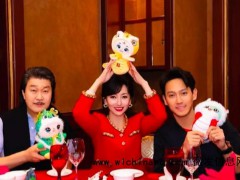 赵雅芝母子接财神 蛇年最忙的女人[推荐]