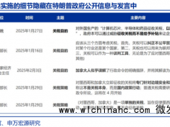 特朗普2.0的“歧视性关税”框架 三大目标与复杂路径[推荐]
