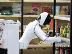 人形机器人距“人机难辨”还有多远 未来十年或见分晓[推荐]