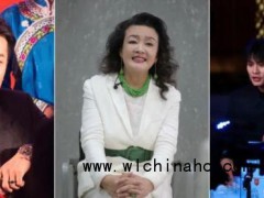 塌房大主播集体“复活” 试探复出之路[推荐]