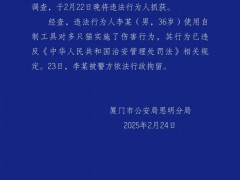 男子用自制工具伤害多只猫被行拘 违法行为人已被控制[推荐]