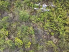 在广西连小狗都要去祭祖 硬核祭祖方式引关注[推荐]