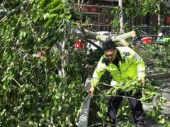 北京处置多起交通突发情况 快速响应保障通行[推荐]