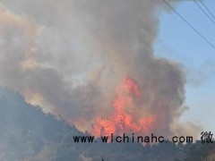 山西森林火灾消防员紧急避险 风力骤增火势突变[推荐]