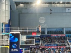 中国跳水队世界杯首日包揽五金 展现绝对统治力[推荐]