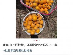 年轻人爱上打野农户深受困扰 采摘潮流引发争议[推荐]