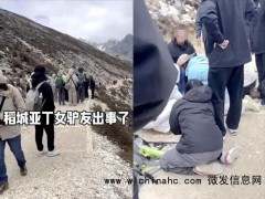 景区回应90后女游客因高反离世 悲剧引发关注[推荐]