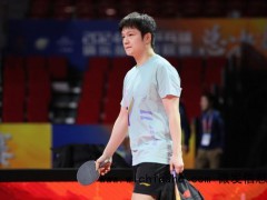 樊振东将改变德国联赛竞争格局 新援加盟引关注[推荐]